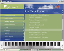 Plectrum