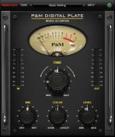 P&M DIGITAL PLATE