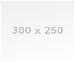 300x250