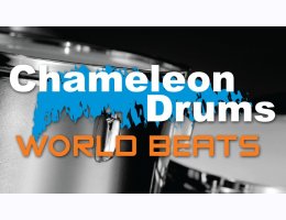 Chameleon Drums 2 World Beats