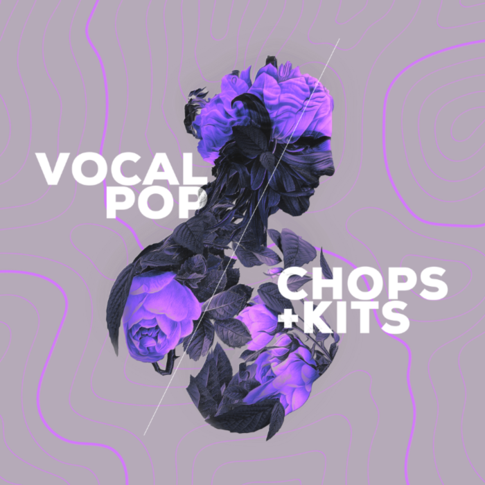 Vocal Pop Loopmix Expansion