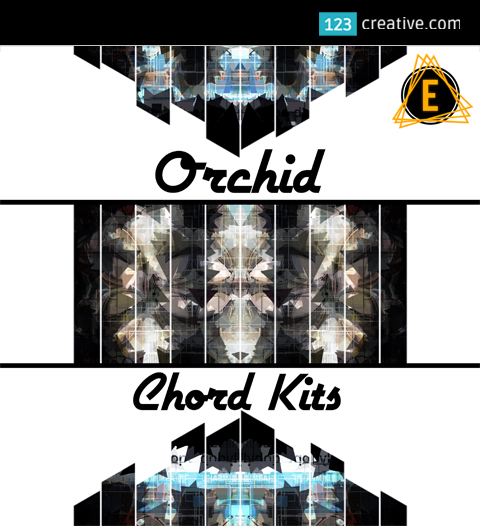 Orchid chord kit - synth chord samples