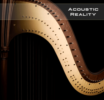 Acoustic Reality