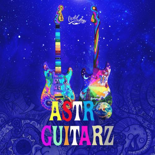Astro Guitars Vol.1