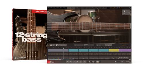 12-String Bass EBX