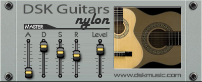 DSK Guitars Nylon