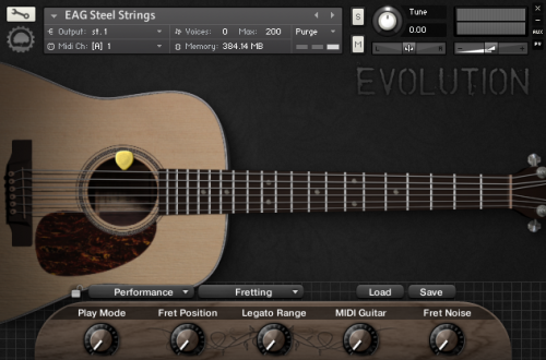 Evolution Acoustic Guitar Steel Strings