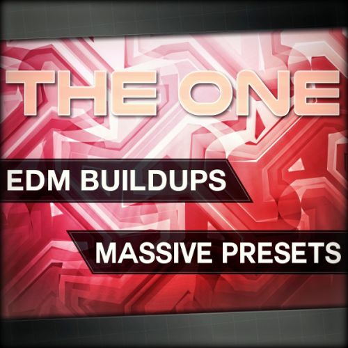 THE ONE: EDM Buildups