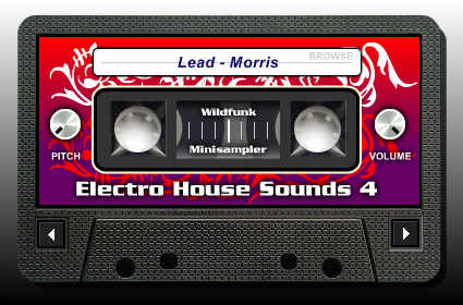 Electro House Sounds 4