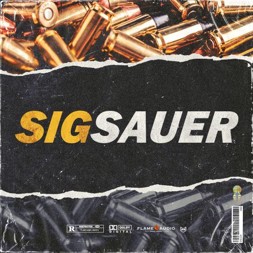 Sig Sauer (5 Construction Kits)