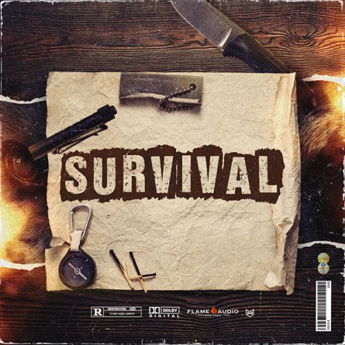 Survival (Construction Kits)