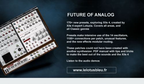 Future of Analog for Xils 4
