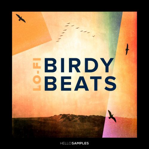 Lo-Fi Birdy Beats