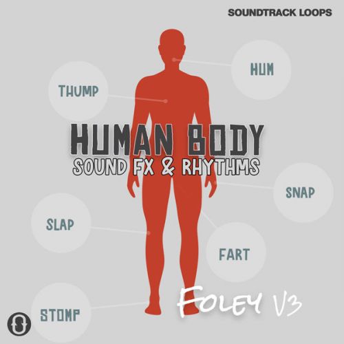 Foley Volume 3 Human Body