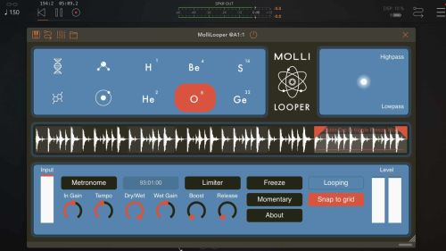 Molli Looper