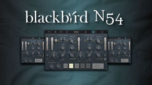 Blackbird N54