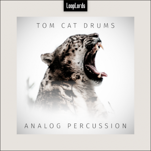 Tom Cat Drums