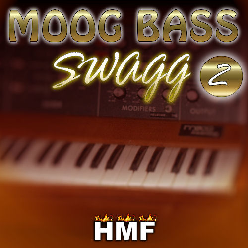 Moog Bass Swagg 2