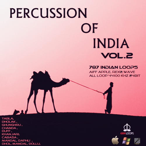 Percussion of India Vol.2