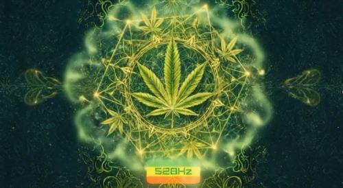 RASTA 528Hz