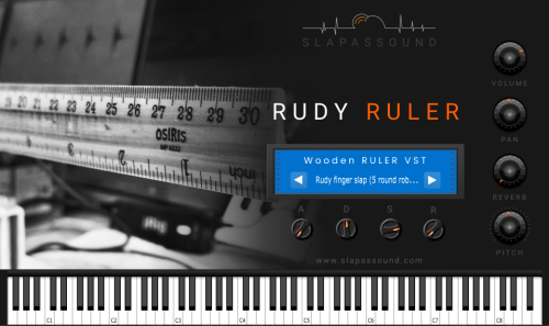 Rudy Ruler VST