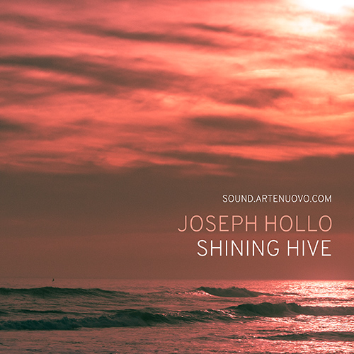 Shining Hive by Joseph Hollo