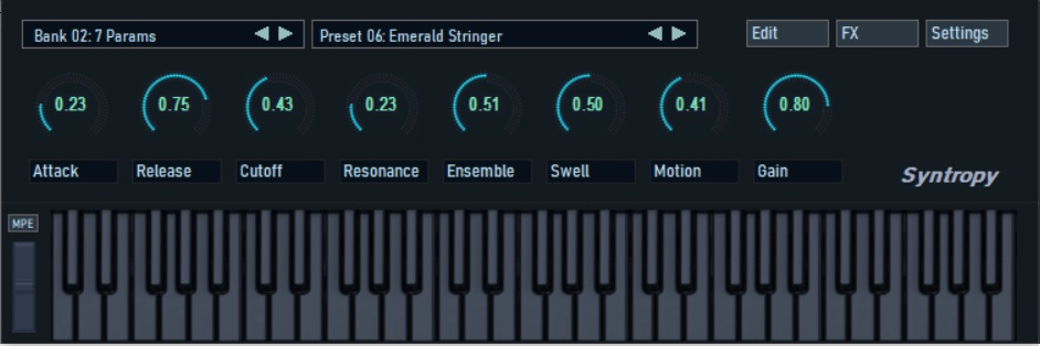 Syntropy