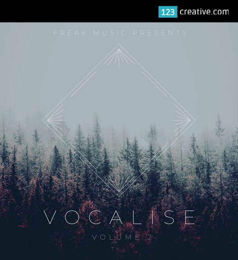 Vocalise Vol.2 - vocal samples / vocal instruments