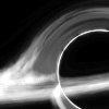 Black-Sided Sun