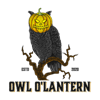 Owl O'Lantern