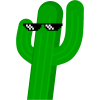 Saguaro.one