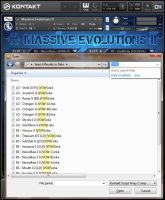 Massive Evolutions II - the Evolution Proceeds
