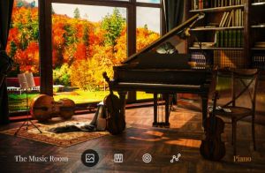 The Music Room