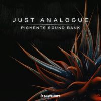  Just Analogue - Pigments Sound Bank 