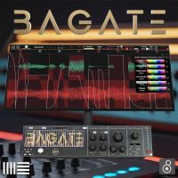 BaGate