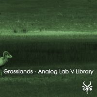 Grasslands - Analog Lab V