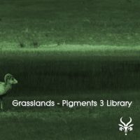 Grasslands - Pigments 3