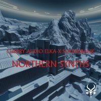 Northern Synths - Elka-X