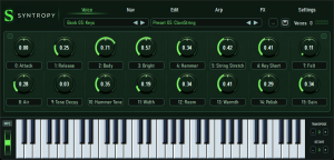Syntropy