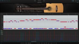Ample Bass Acoustic