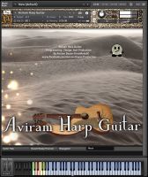 Aviram Harp Guitar