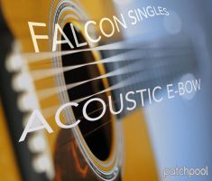 Falcon Singles - Acoustic E-Bow
