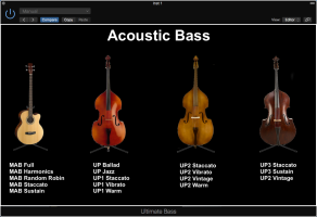 Ultimate Bass