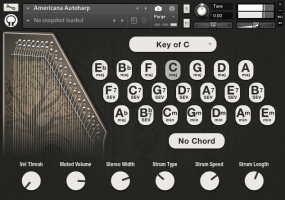 Americana Autoharp