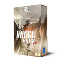 Angel Arps V1