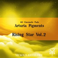 Rising Star Vol.2 - Pigments Presets
