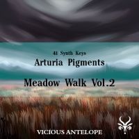 Meadow Walk Vol.2 - Pigments Presets