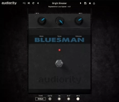 The Bluesman