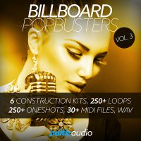 Billboard Pop Busters Vol 3