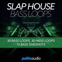 Slap House Bass Loops